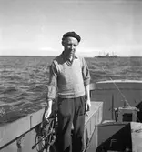 Gävle hamn, invasion av fartyg. Augusti 1950.



