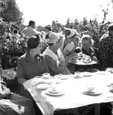 Husmodersträff i Skutskär. 15 augusti 1950.



