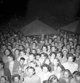 Måndagskväll i Boulognerskogen. 21 augusti 1950.



