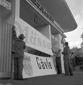 Gävlemässan, utställning på Sätraåsen, Travbanan. 24 juni 1950.



