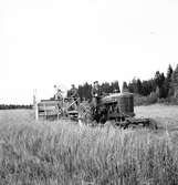 Skördetröska i Valbo. Augusti 1950




