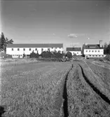 Västerbergs Folkhögskola, Storvik 40 årsjubileum i samband
med renovering. 2 oktober 1950.



