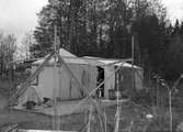 Barnrikefamilj bor i tält vid Kullsand. Oktober 1950.



