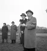 Gävle stads Sparbank, plantering av ek vid Nynäs. 31 oktober 1950.


