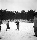 Fettisdagstävlingarna, skolungdomens skidtävlingar. 13 februari 1951.

