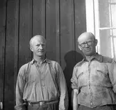 Mordaffär i Hyttön, Älvkarleby. Kvinna från Finland, bragts om livet i skogen. 8 maj 1951.

