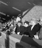 Svenska Flaggans Dag på Strömvallen. 6 juni 1951.
