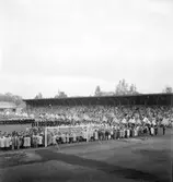 Svenska Flaggans Dag på Strömvallen. 6 juni 1951.