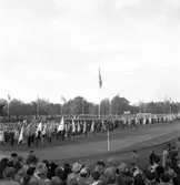 Svenska Flaggans Dag på Strömvallen. 6 juni 1951.