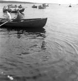 Sally Bauer simmar Gävle - Furuvik. 16 juli 1951.
