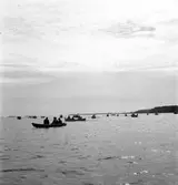 Sally Bauer simmar Gävle - Furuvik. 16 juli 1951.