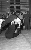 Jiu - Jitsu tränas av kvinnliga bilkåren på Söderskolans
gymnastiksal. 8 oktober 1951.