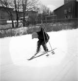 Årets första snö. 16 november 1951. Islandsplan, Brynäs.