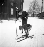 Årets första snö. 16 november 1951. Islandsplan, Brynäs.