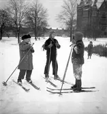 Årets första snö. 16 november 1951. Islandsplan, Brynäs.