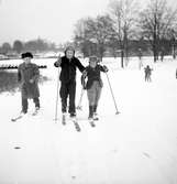 Årets första snö. 16 november 1951. Islandsplan, Brynäs.