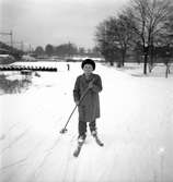 Årets första snö. 16 november 1951. Islandsplan, Brynäs.