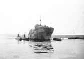 Båtar från hamnen. 16 november 1951. Patricia.