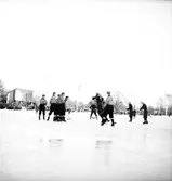 Bandymatch Forsbacka - Hammarby,  på Strömvallen. 13 januari 1952.