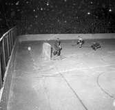 Ishockeymatch, final. GGIK - Södertälje. 31 januari 1952.