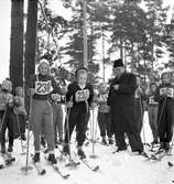 Skidtävling för barn. 3 februari 1952.