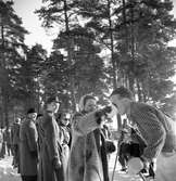 Telespelen. Telegrafverkets skidtävling. 18 februari 1952.


