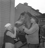 Fröknarna Olsson, Staketgatan, Gävle. Pingst 1952.