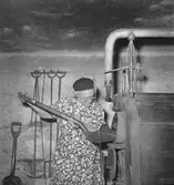 Fröknarna Olsson, Staketgatan, Gävle. Pingst 1952.