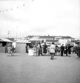 Lions Tivoli. Juni 1952.
