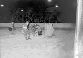 Ishohockey  Gästrikland - Hälsingland. 7 december 1952.