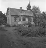 :: Lerviks Frivyområdet 7 september 1952.
Från olika sommarvillor.