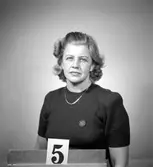 Telegrafverket legitimationskort

