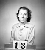 Telegrafverket legitimationskort

