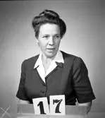 Telegrafverket legitimationskort

