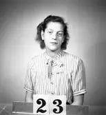 Telegrafverket legitimationskort

