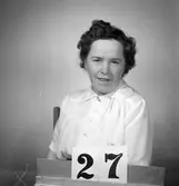 Telegrafverket legitimationskort

