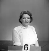 Telegrafverket legitimationskort. 15 augusti 1952.
Fotografi nr 6.


