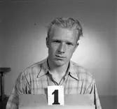 Telegrafverket legitimationskort. 23 juni 1953.
Fotografi nr 1.


