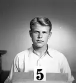 Telegrafverket legitimationskort. 23 juni 1953.
Fotografi nr 5.


