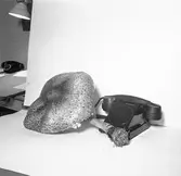 Svamp kontra telefon i storlek