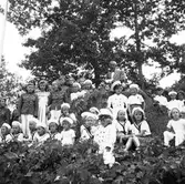 Reportage från Furuvik. 50-årsjubileum den 17 augusti 1950