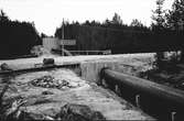 Armerad Betongrör i Furuvik den 24 april 1950