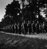 Regementets dag, 24 juni 1950