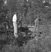 Flygolycka vid Bönan, utanför Strömsbro. Den 14 juli 1950