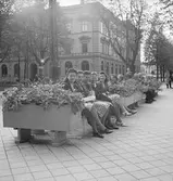 Blomstersoffor på Nygatan. Reportage för Gefle Dagblad




