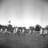 Medborgarfest. Gymnastikuppvisning
