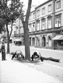 Män som fäller träd med såg. Augusti 1940. 
