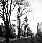 Nygatan mot Öster. Februari 1939. Reportage för Norrlandsposten

