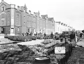 Tunnor på kajen vid magasinen. Ludvig Ericsson & Co






