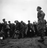 Rysstransport. Den 14 Juni 1945